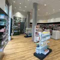 Einblicke ins Offizin